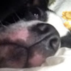 Meet your Posher, Merrie